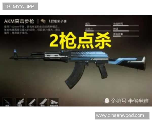 深度对话：探寻杨强在和平精英中的成长与人生哲学