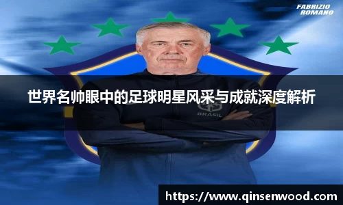 世界名帅眼中的足球明星风采与成就深度解析